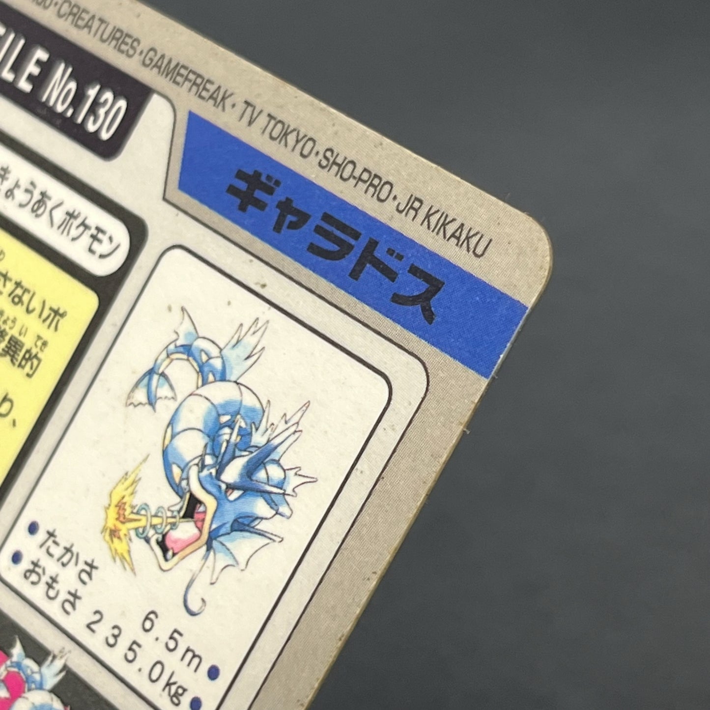 Gyarados File No. 130 Bandai Carddass Prism Pokémon Card