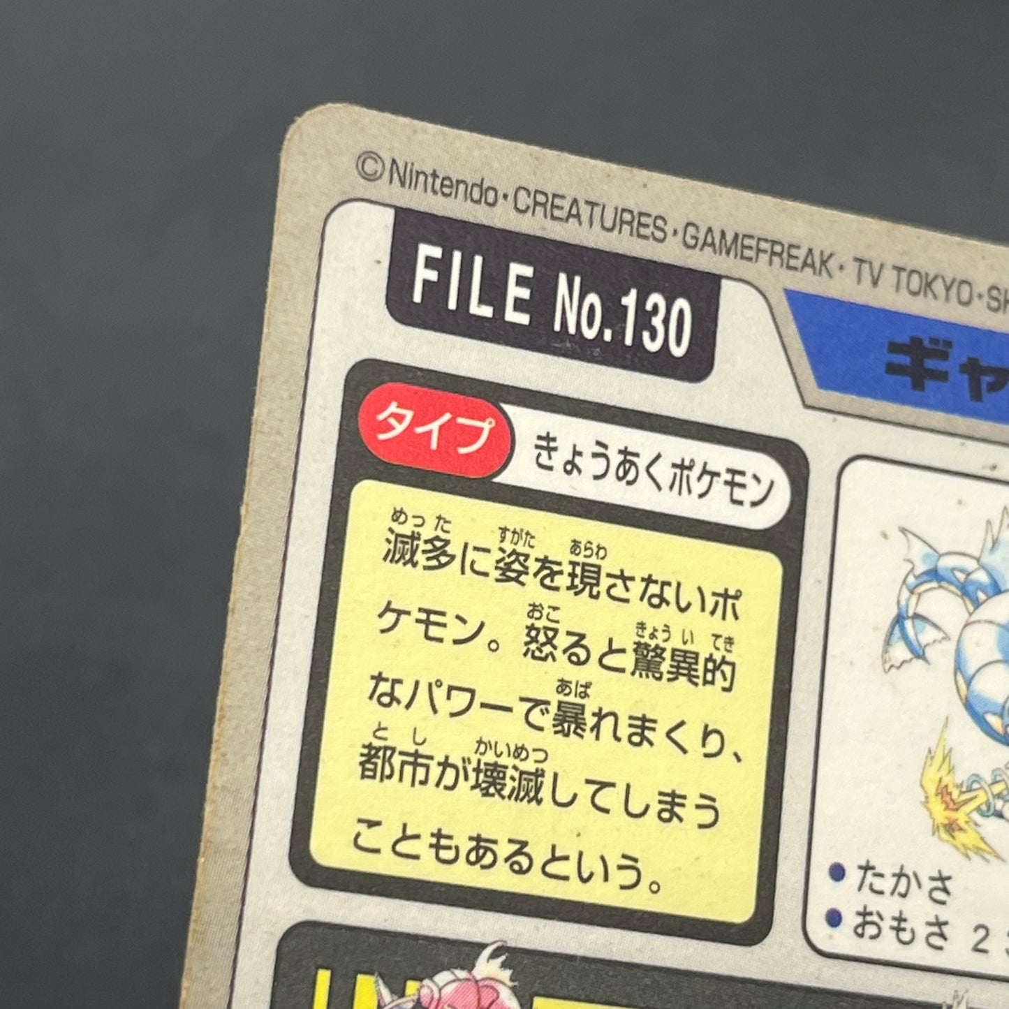 Gyarados File No. 130 Bandai Carddass Prism Pokémon Card
