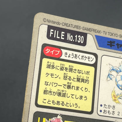 Gyarados File No. 130 Bandai Carddass Prism Pokémon Card