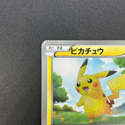 Pikachu 056/053 White Collection BW1 Japanese Pokemon Card