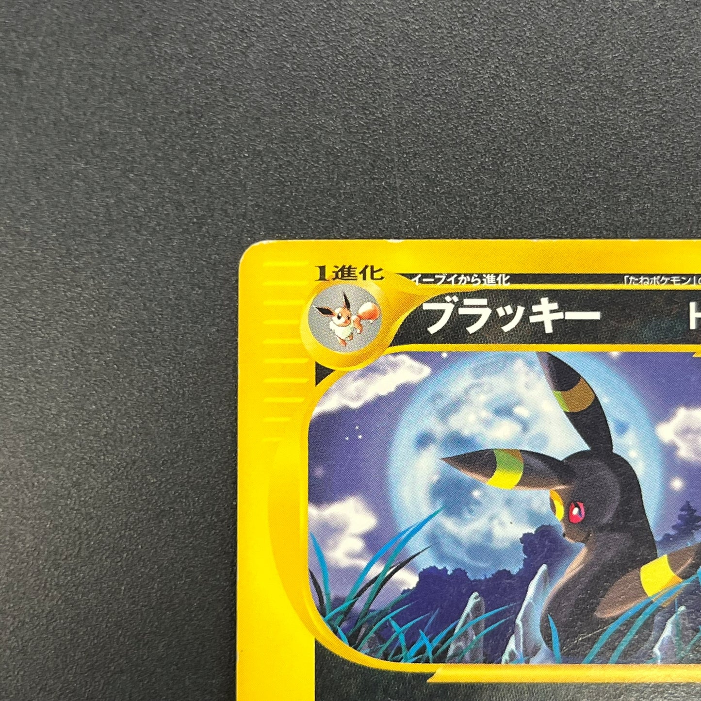 Umbreon 071/088 Skyridge Split Earth Japanese Pokemon Card