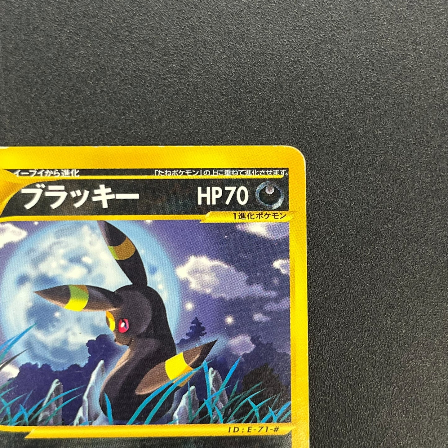Umbreon 071/088 Skyridge Split Earth Japanese Pokemon Card