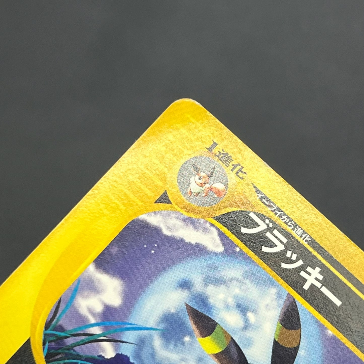 Umbreon 071/088 Skyridge Split Earth Japanese Pokemon Card