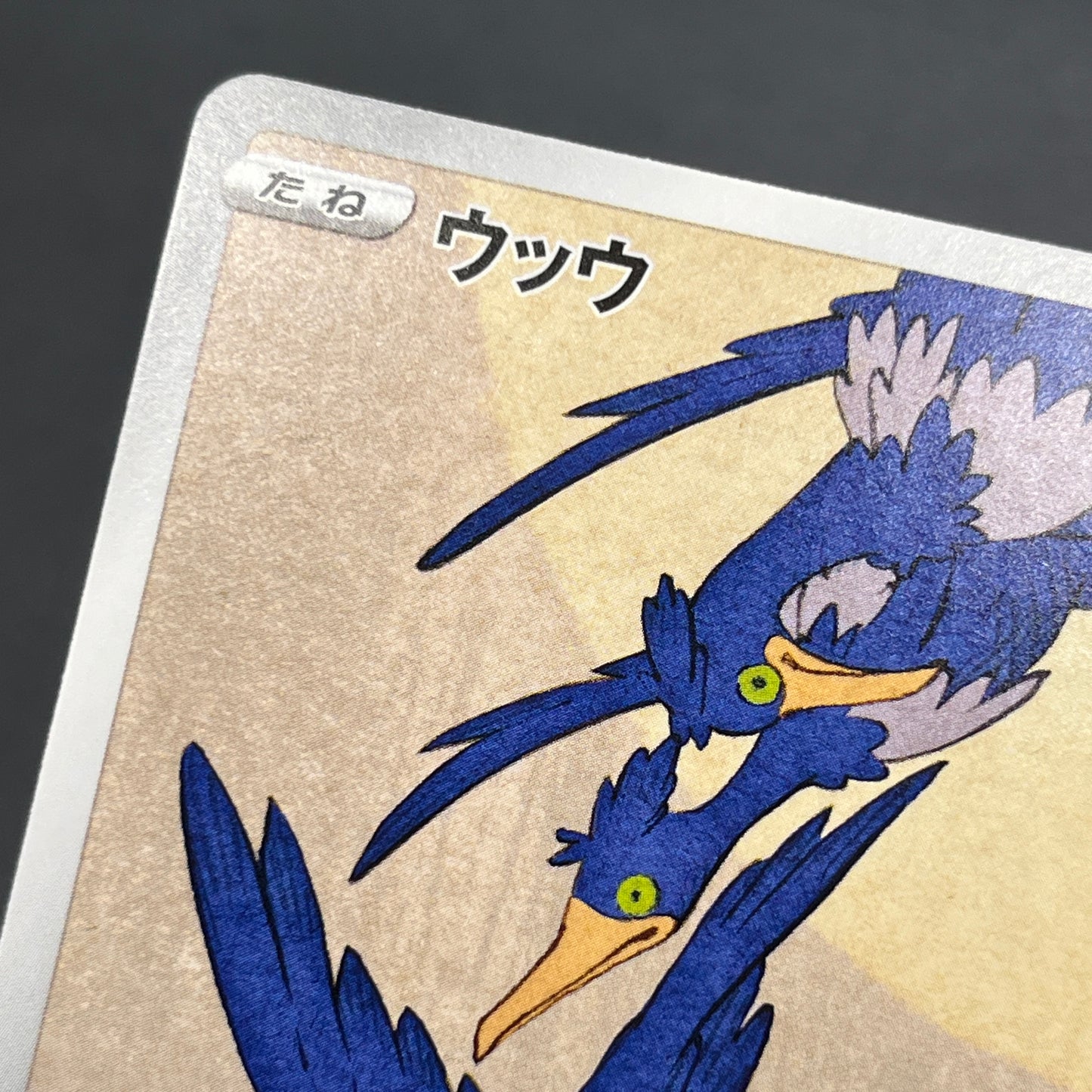 Cramorant 226/S-P Promo Stamp Box Japanese Pokemon Card