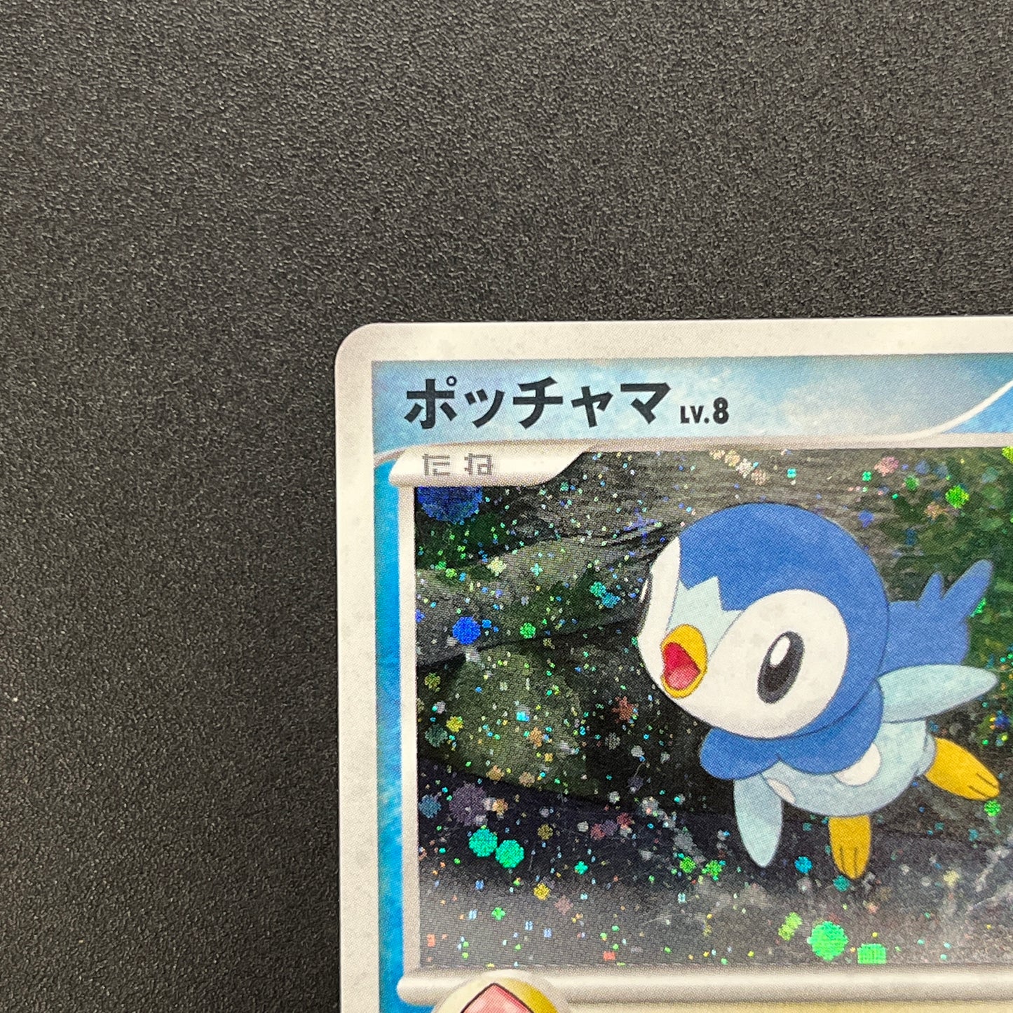 Piplup 003/PPP Promo Earn 2000 EXP Points Pokemon Card