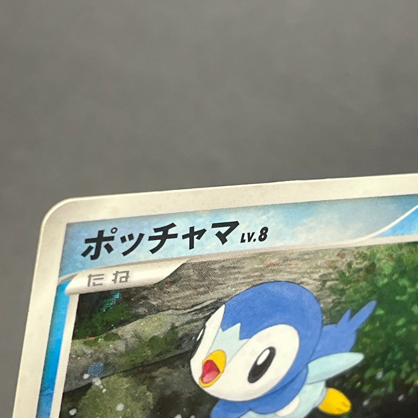 Piplup 003/PPP Promo Earn 2000 EXP Points Pokemon Card