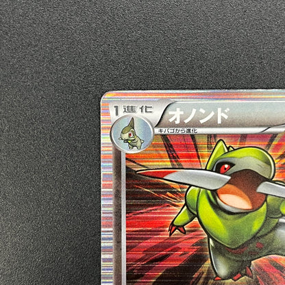 Fraxure 015/020 Dragon Selection DS Holo Pokemon Card
