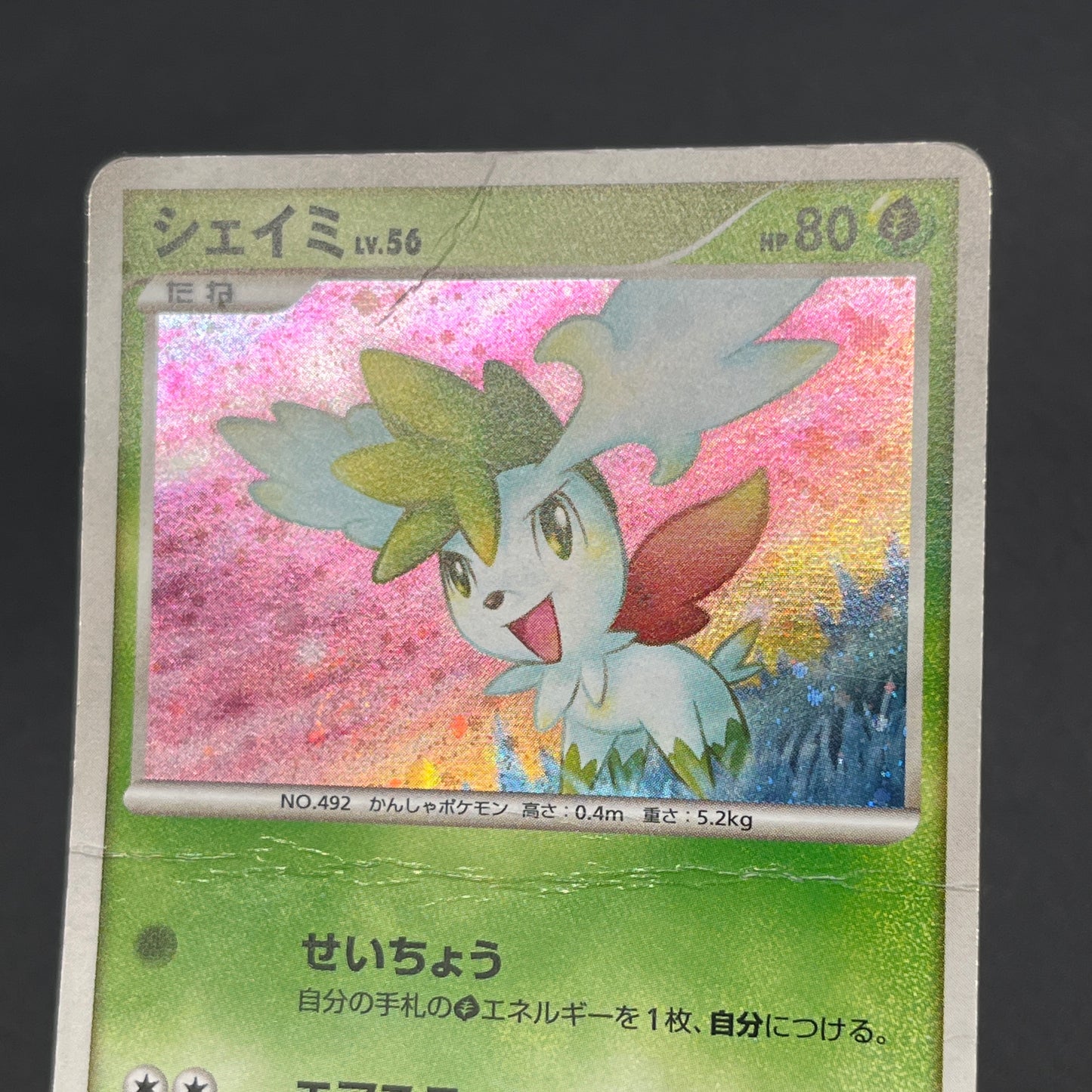 Shaymin 014/096 Galactics Conquest Holo Pokemon Card