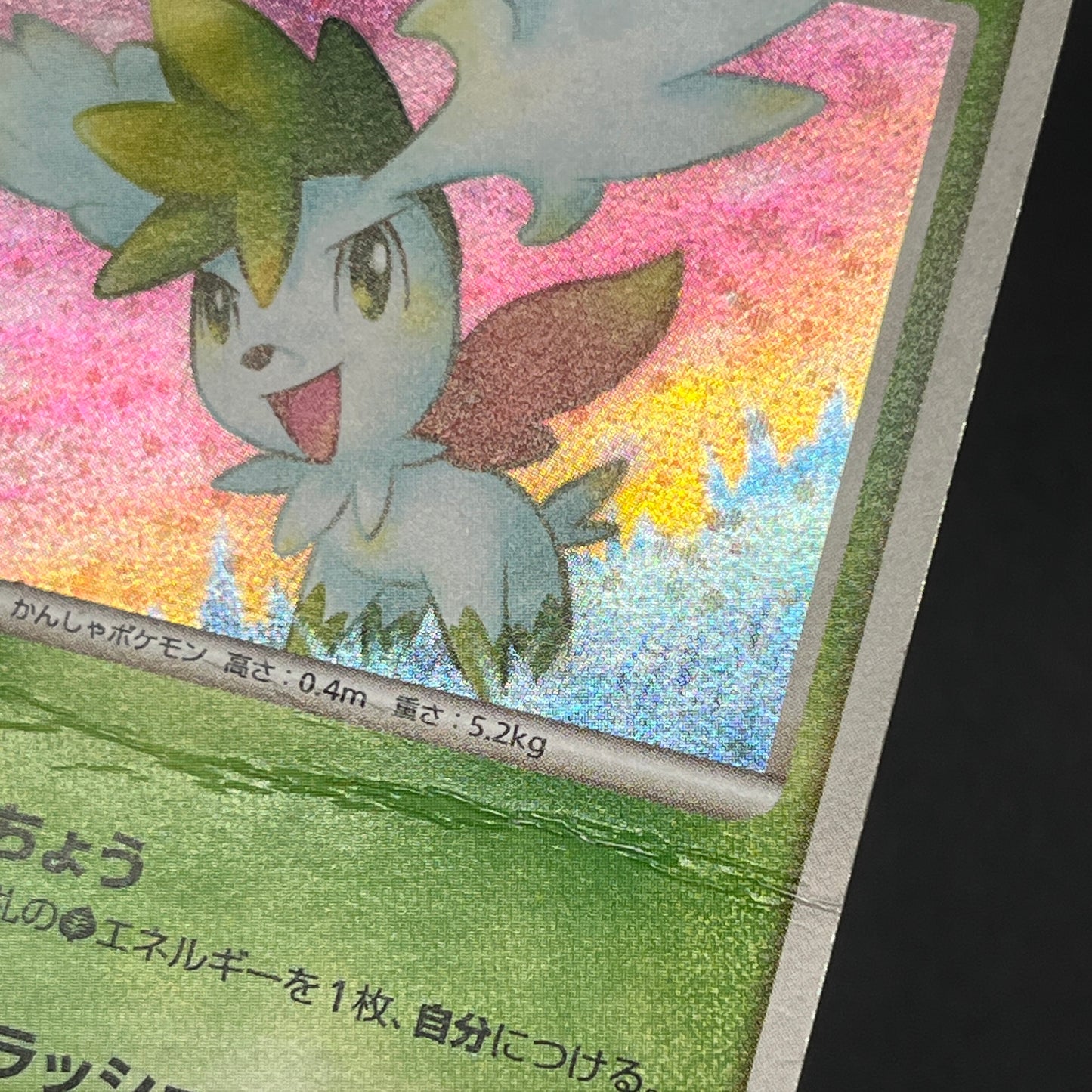 Shaymin 014/096 Galactics Conquest Holo Pokemon Card