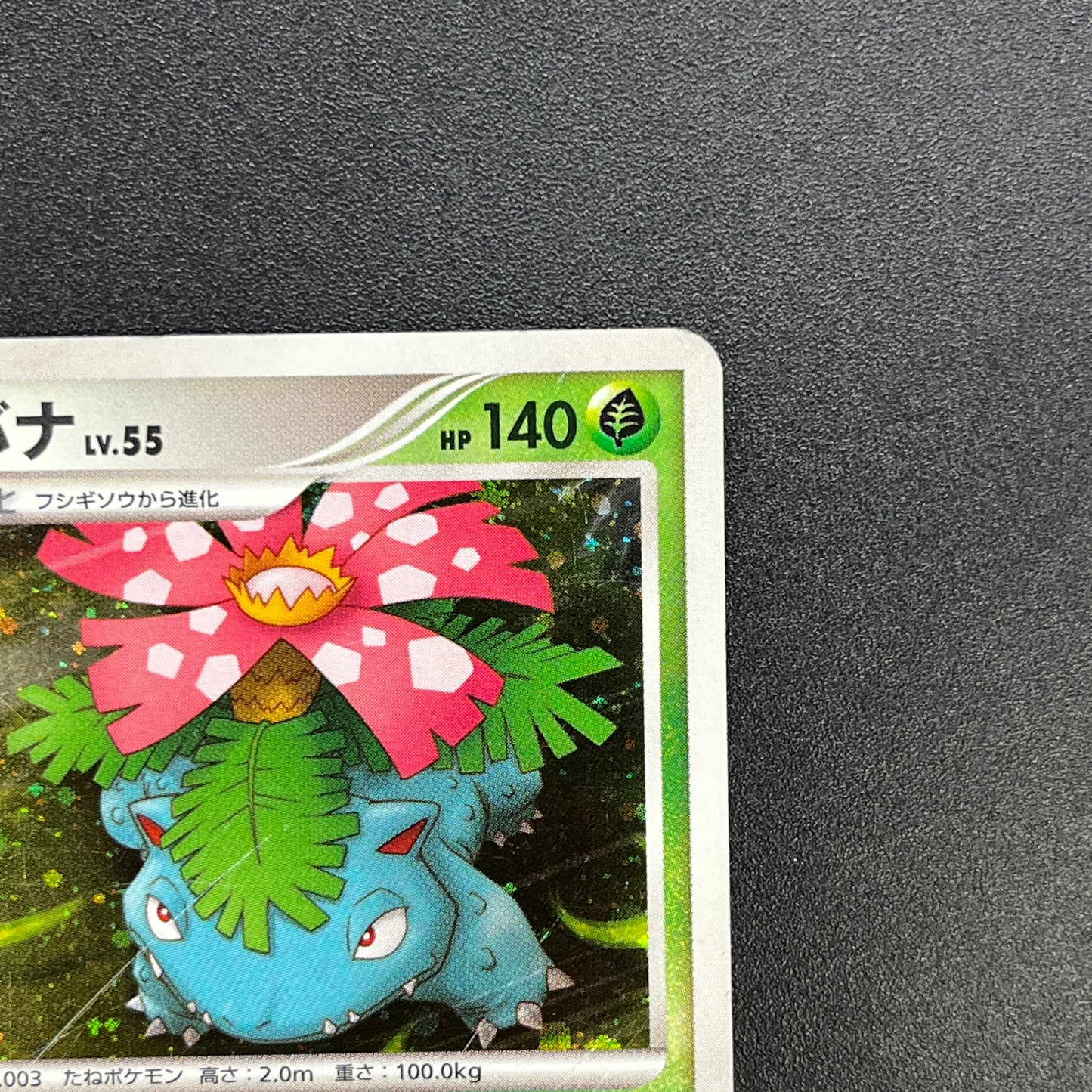 Venusaur 003/100 Pt3 Holo Beat of the Frontier Card