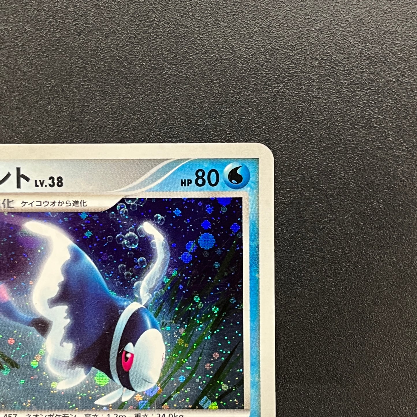 Lumineon 020/092 Stormfront Holo Pokemon Card