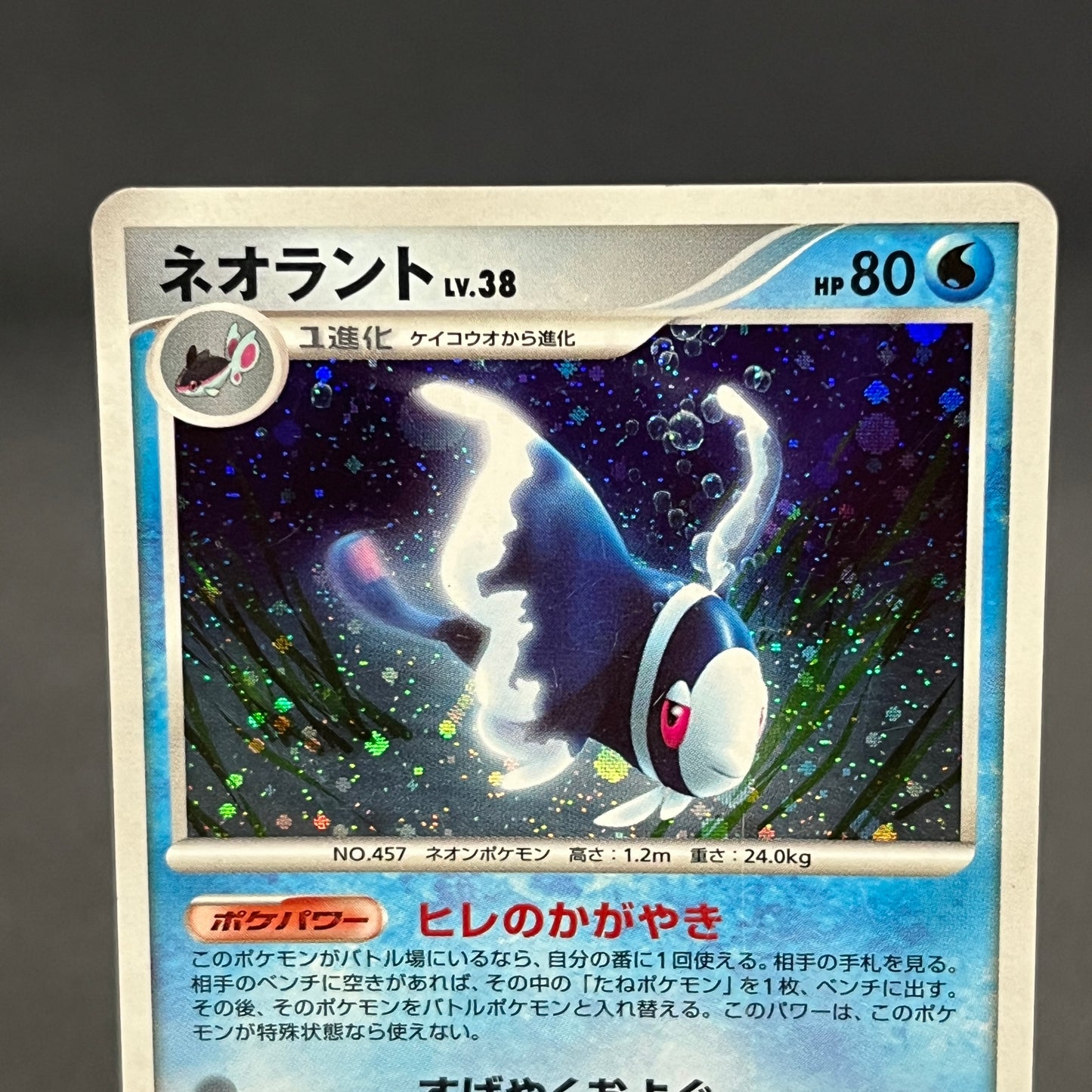 Lumineon 020/092 Stormfront Holo Pokemon Card