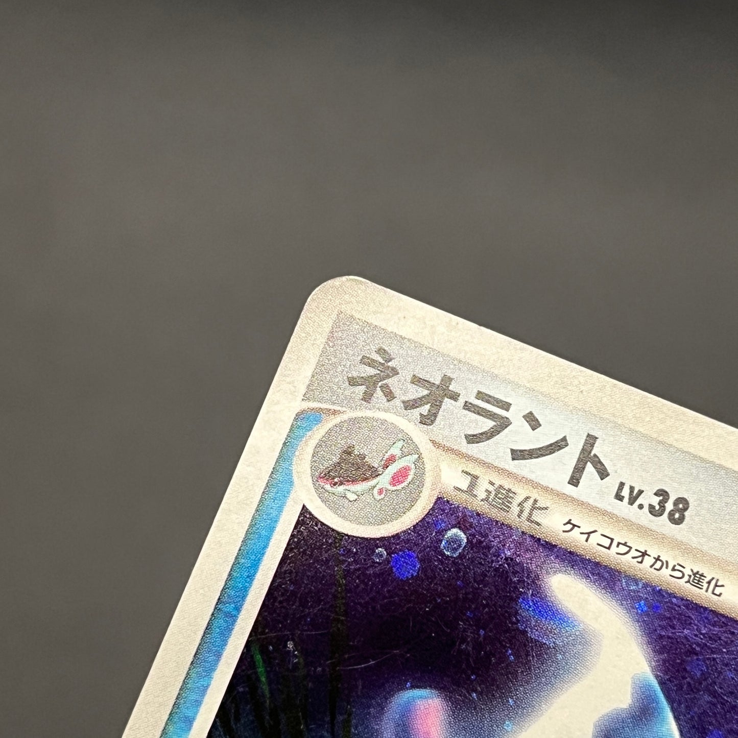 Lumineon 020/092 Stormfront Holo Pokemon Card