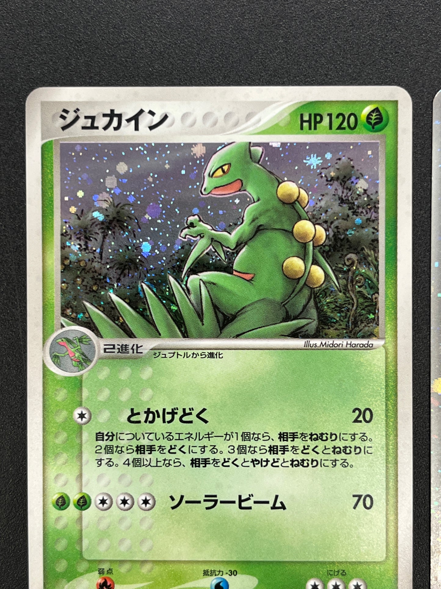 Sceptile ex 006/080 & Sceptile 003/055 2set Pokemon Card