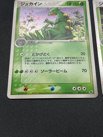 Sceptile ex 006/080 & Sceptile 003/055 2set Pokemon Card