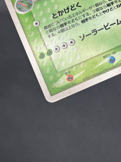 Sceptile ex 006/080 & Sceptile 003/055 2set Pokemon Card