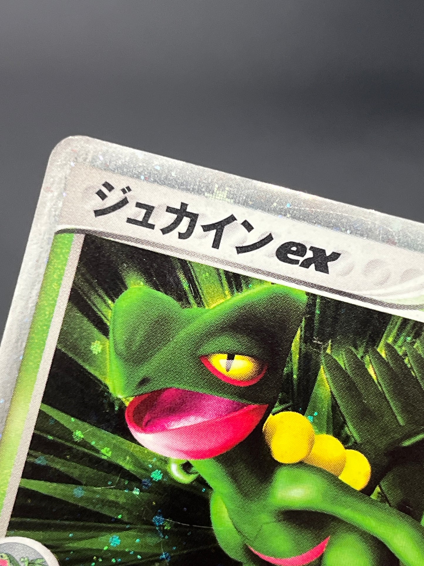 Sceptile ex 006/080 & Sceptile 003/055 2set Pokemon Card