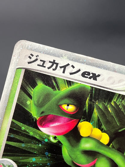Sceptile ex 006/080 & Sceptile 003/055 2set Pokemon Card
