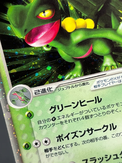 Sceptile ex 006/080 & Sceptile 003/055 2set Pokemon Card