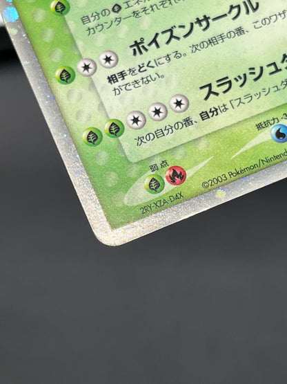 Sceptile ex 006/080 & Sceptile 003/055 2set Pokemon Card