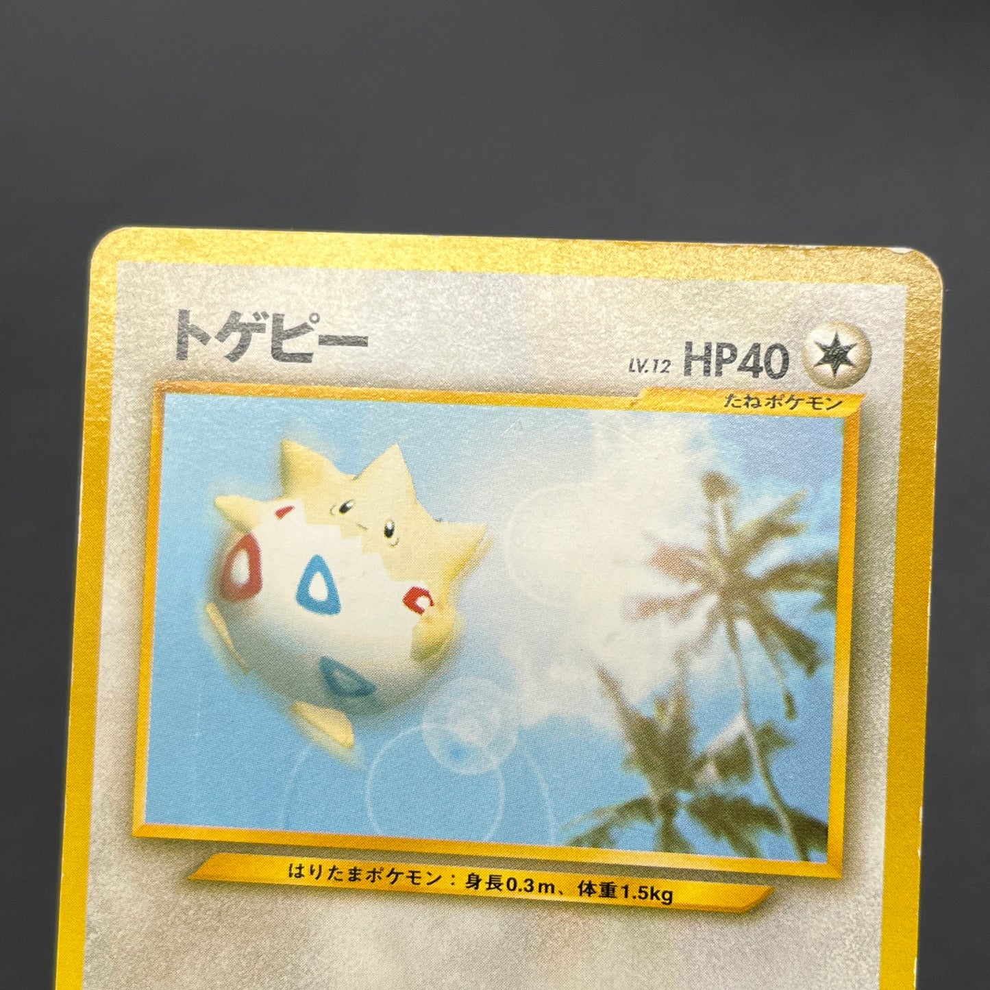 Togepi Marill ANA Special 2000 Version Promo Pokémon Card