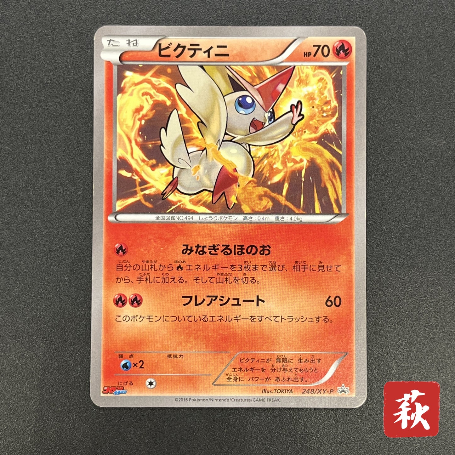 Victini 248/XY-P XY CoroCoro Ichiban! Promo Pokémon Card