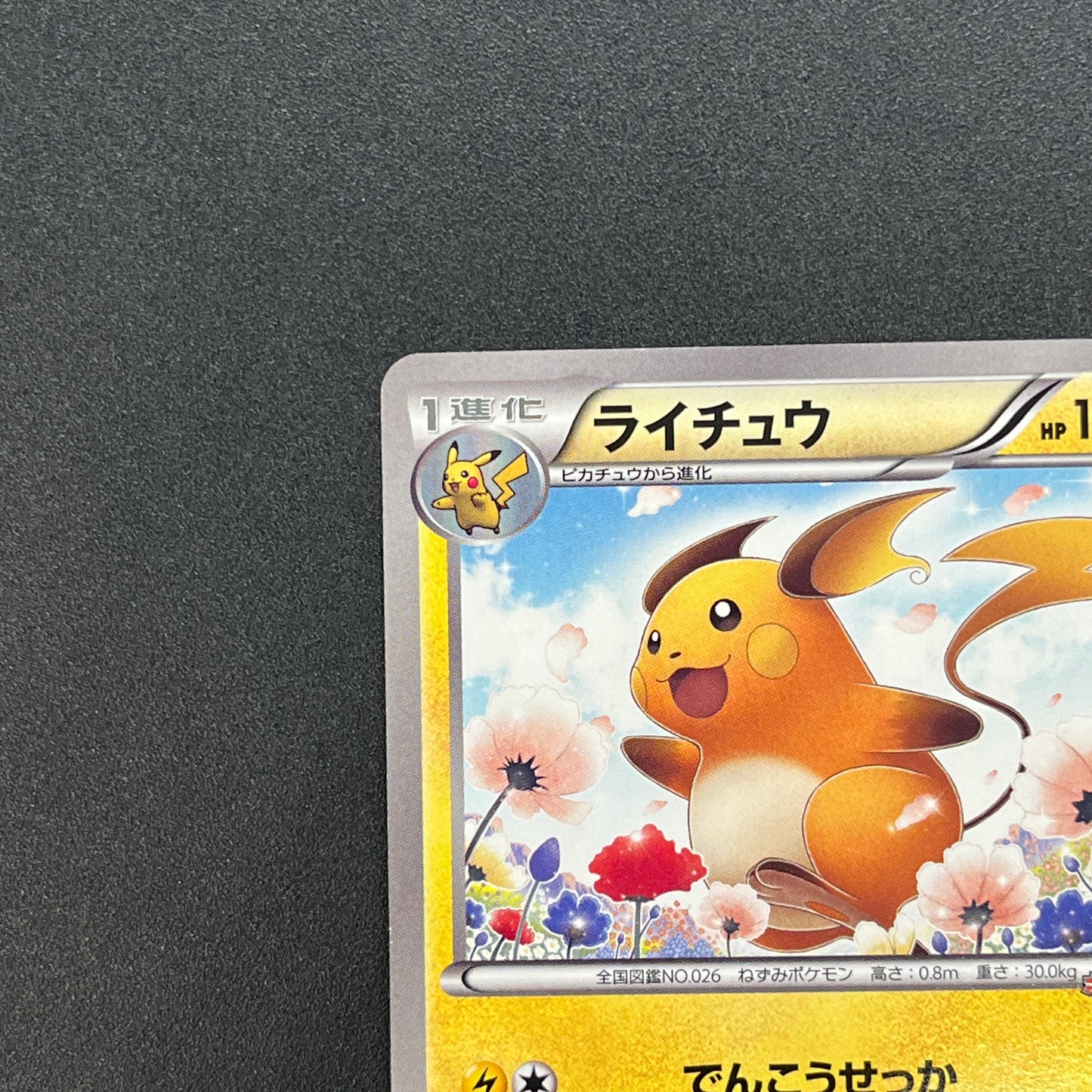 Raichu 152/BW-P Promo Classroom participation prize Card