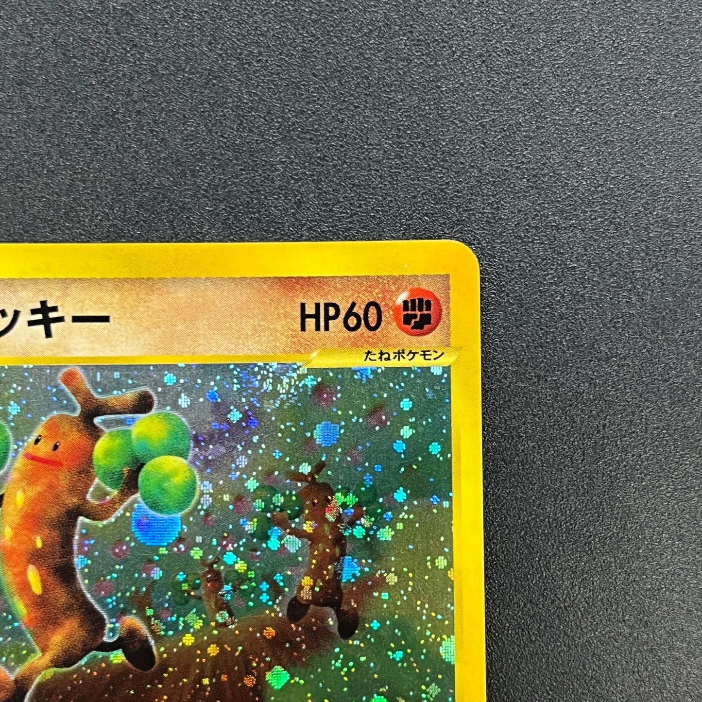 Sudowoodo 058/087 Aquapolis Wind from the Sea Pokemon Card