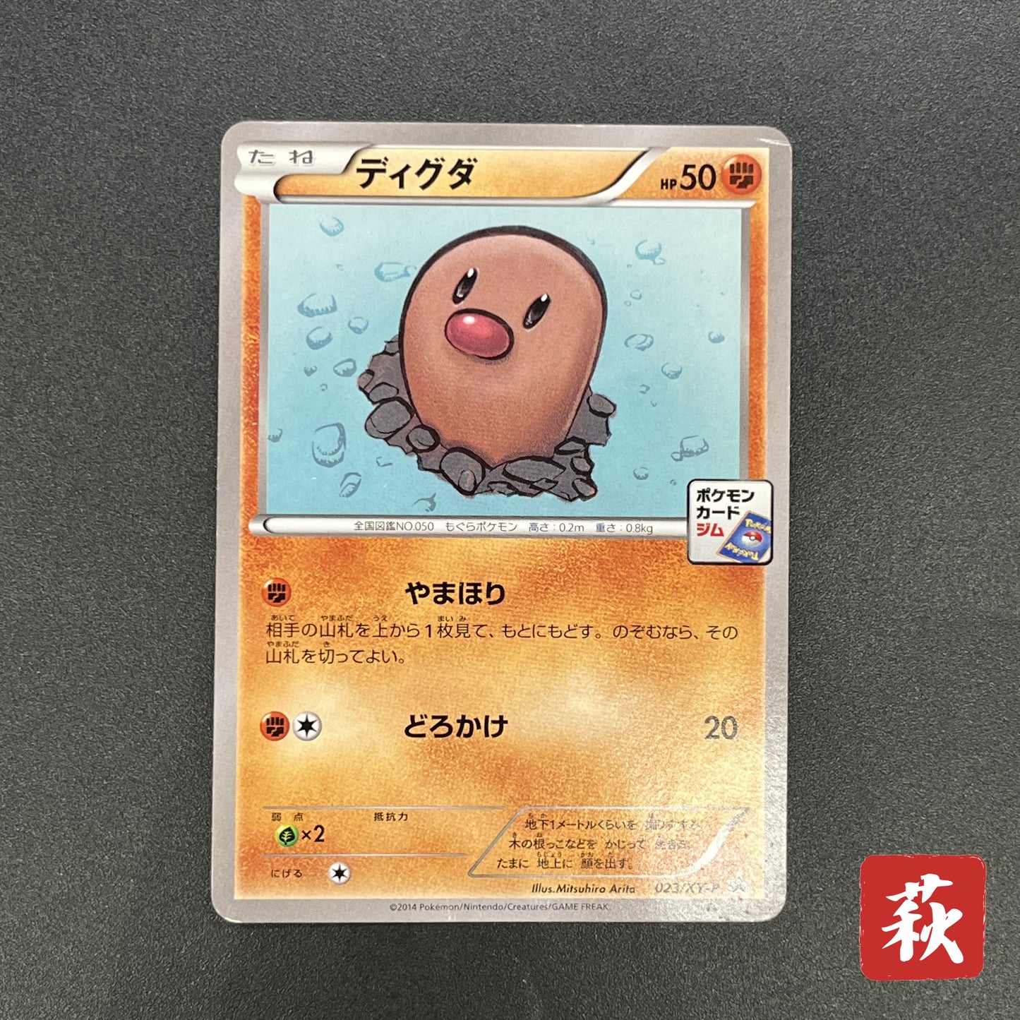 Diglett 023/XY-P Promo Gym Pack 2014 Japanese Pokemon Card