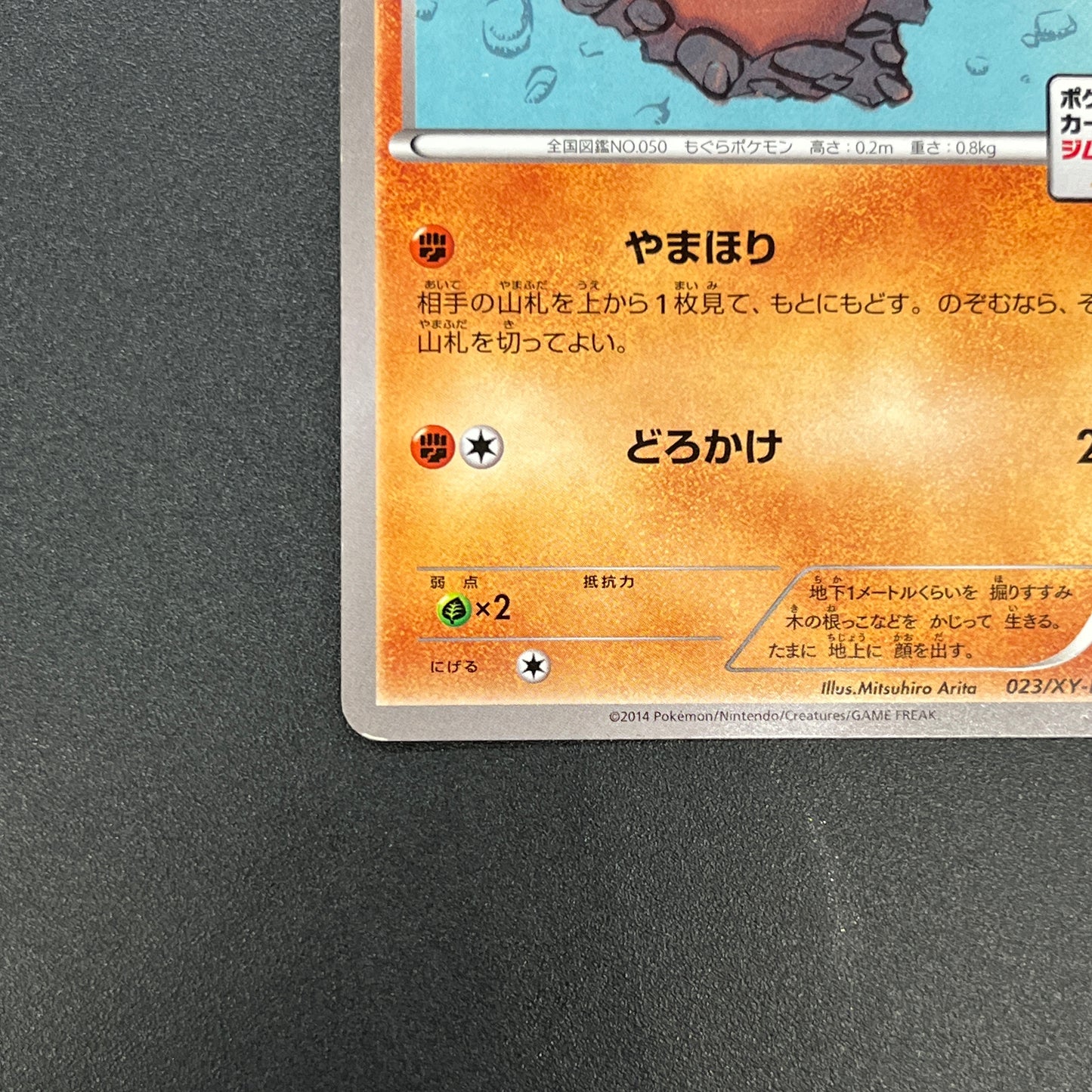 Diglett 023/XY-P Promo Gym Pack 2014 Japanese Pokemon Card