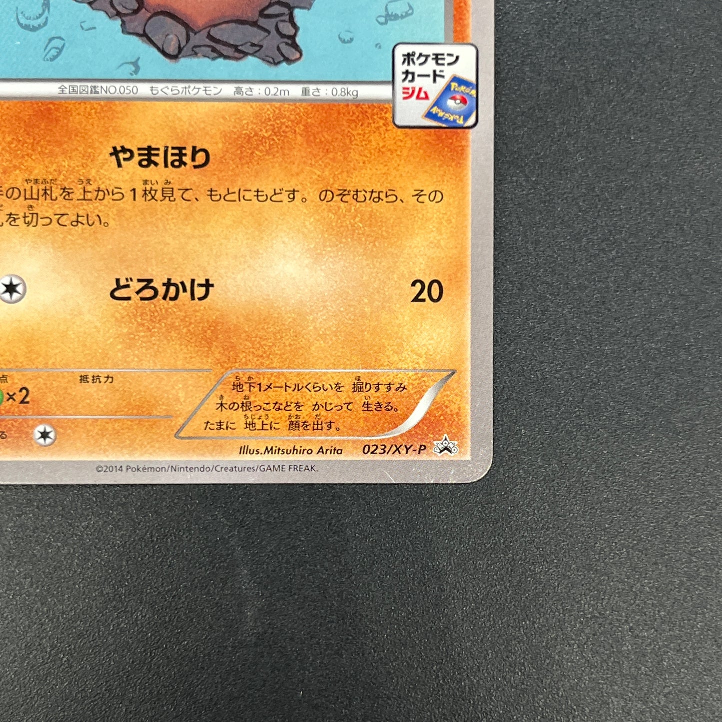 Diglett 023/XY-P Promo Gym Pack 2014 Japanese Pokemon Card