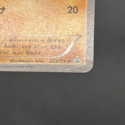 Diglett 023/XY-P Promo Gym Pack 2014 Japanese Pokemon Card
