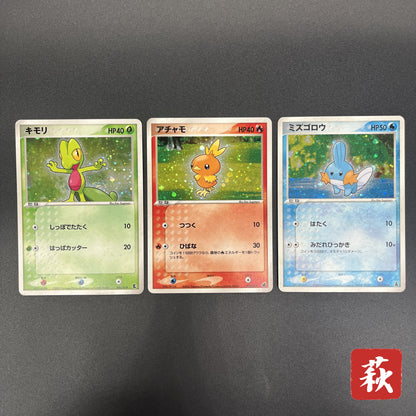 Mudkip 003/019 Torchic Treecko 3set Japanese Pokemon Card