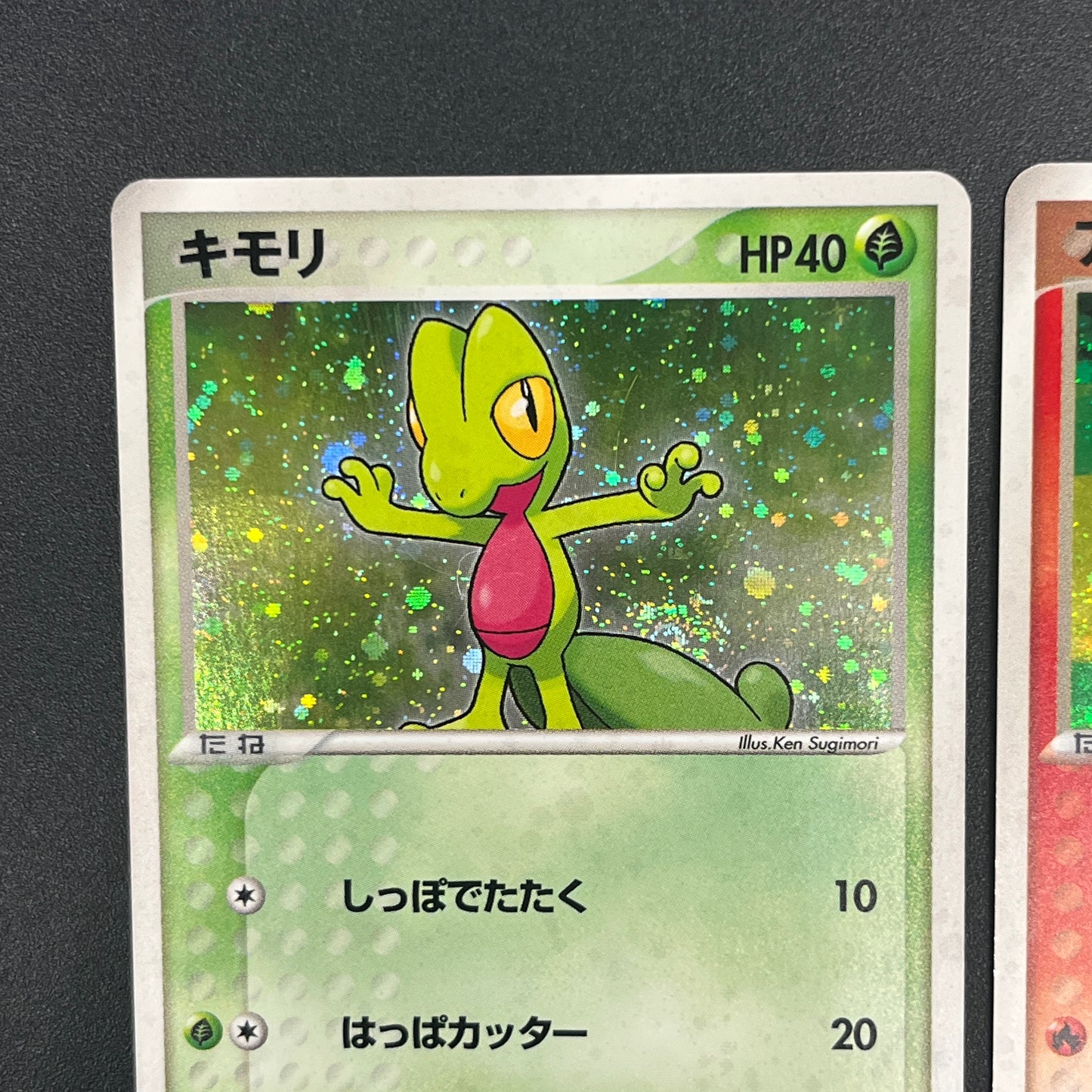 Mudkip 003/019 Torchic Treecko 3set Japanese Pokemon Card
