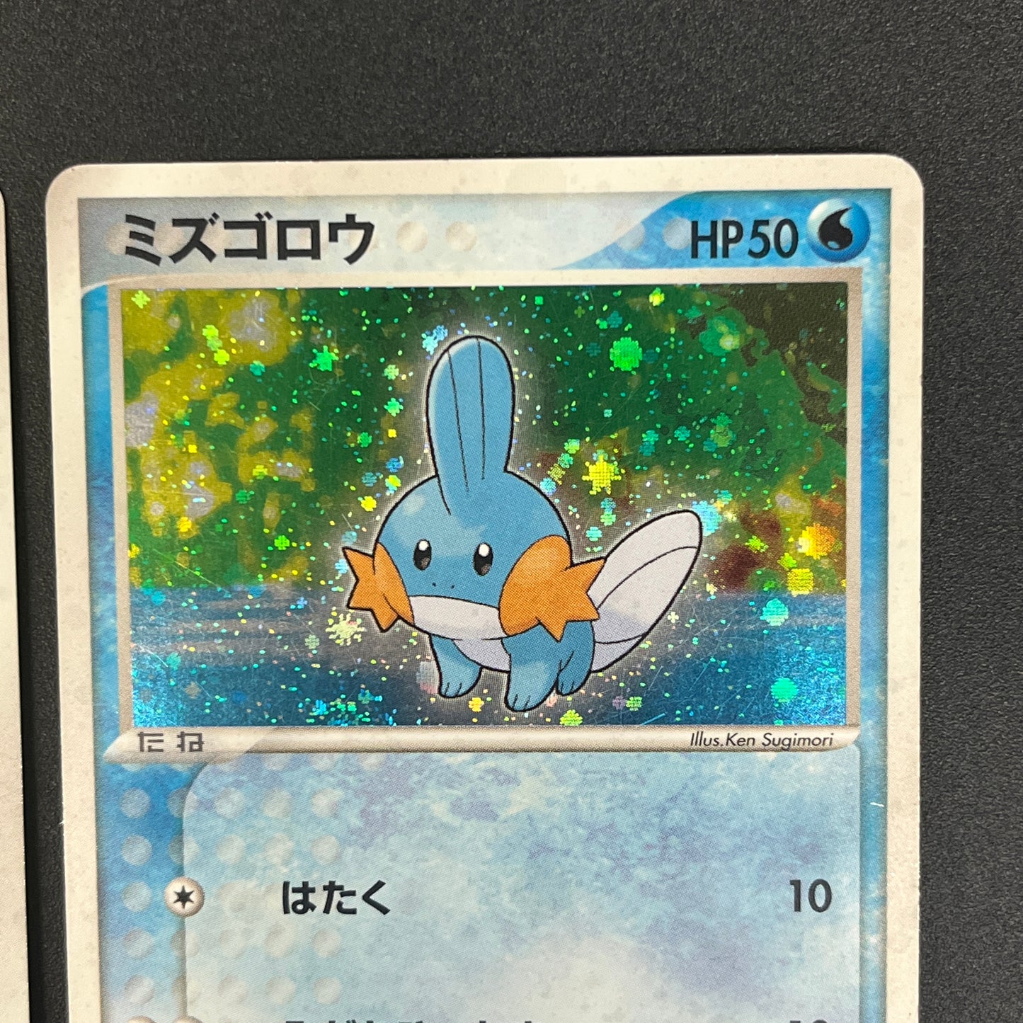 Mudkip 003/019 Torchic Treecko 3set Japanese Pokemon Card