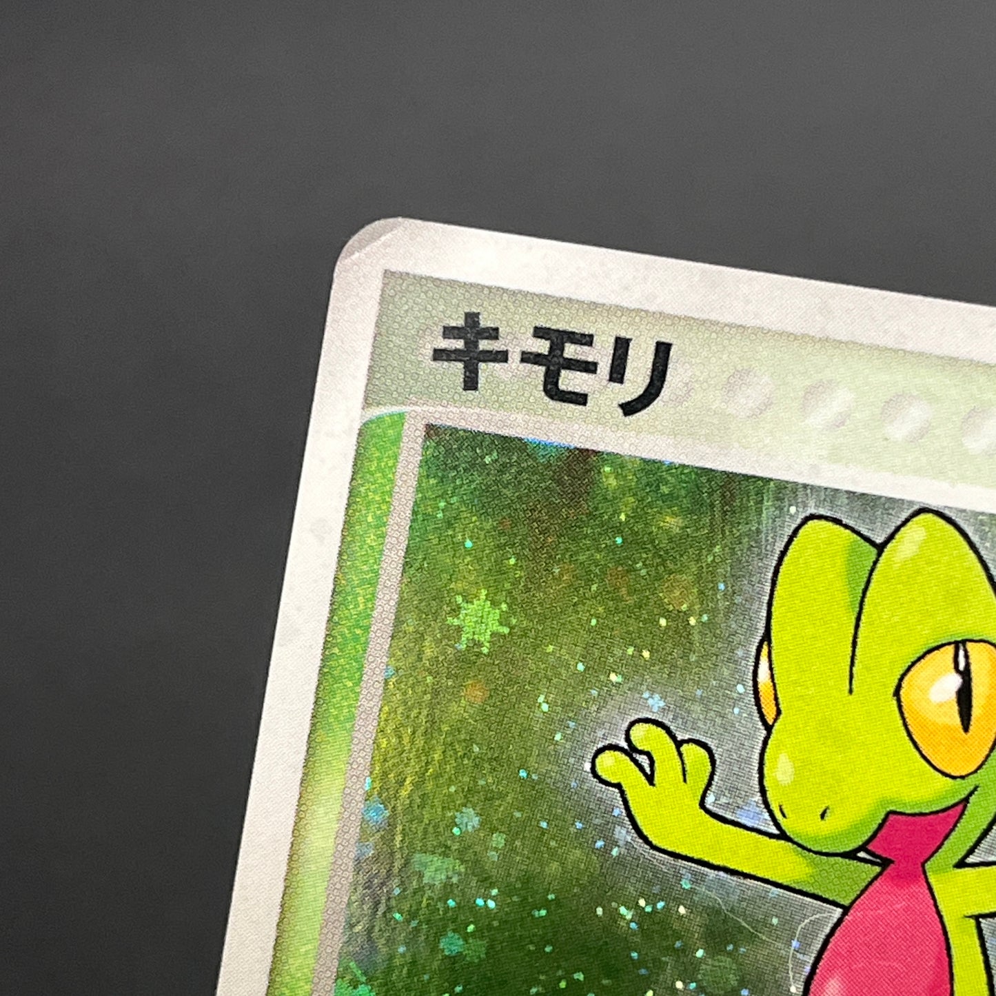 Mudkip 003/019 Torchic Treecko 3set Japanese Pokemon Card