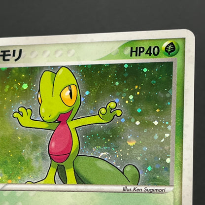 Mudkip 003/019 Torchic Treecko 3set Japanese Pokemon Card