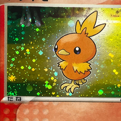 Mudkip 003/019 Torchic Treecko 3set Japanese Pokemon Card