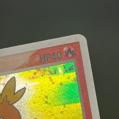 Mudkip 003/019 Torchic Treecko 3set Japanese Pokemon Card