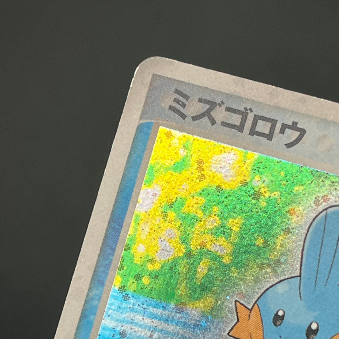 Mudkip 003/019 Torchic Treecko 3set Japanese Pokemon Card