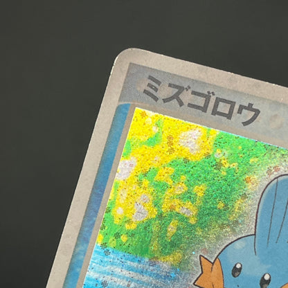 Mudkip 003/019 Torchic Treecko 3set Japanese Pokemon Card