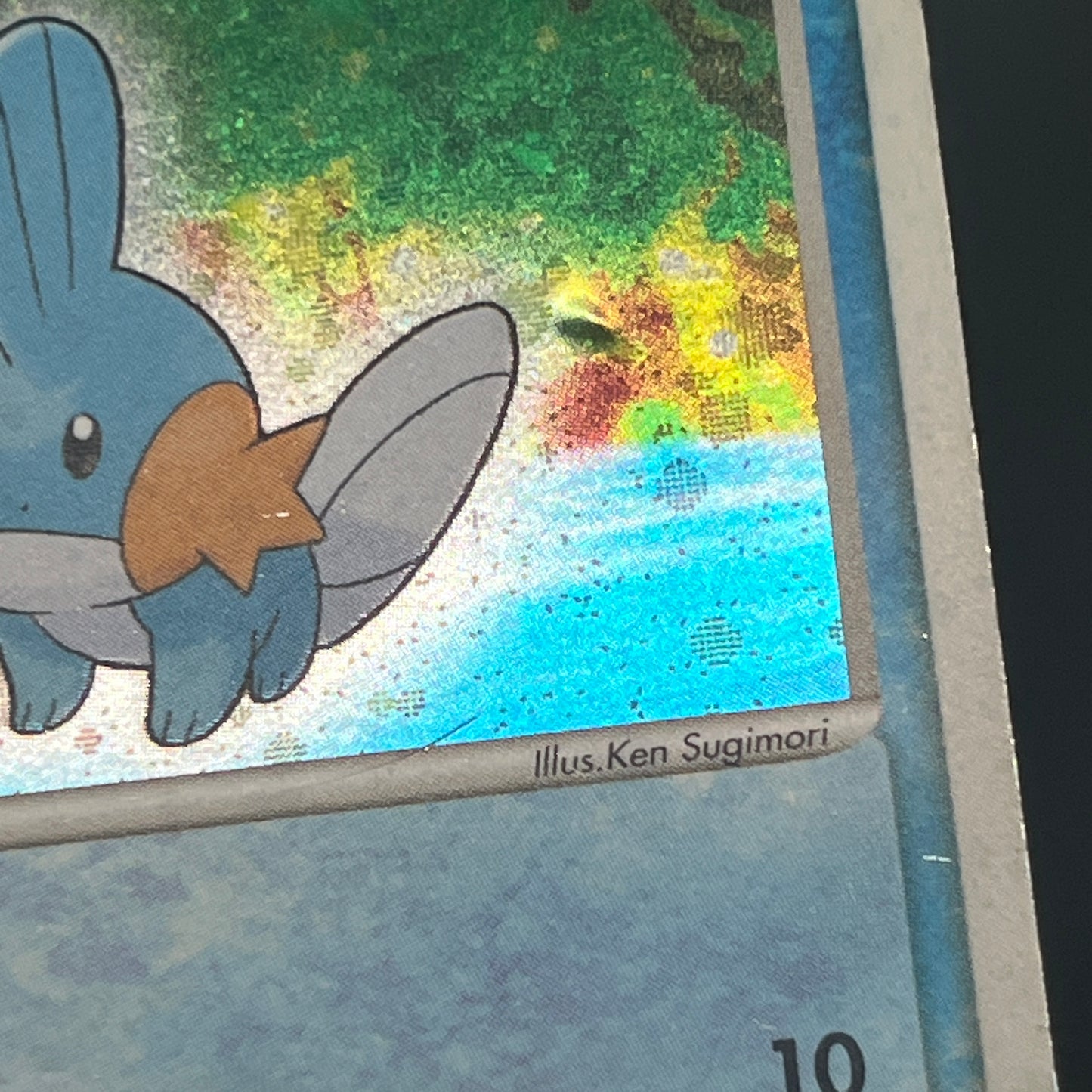 Mudkip 003/019 Torchic Treecko 3set Japanese Pokemon Card
