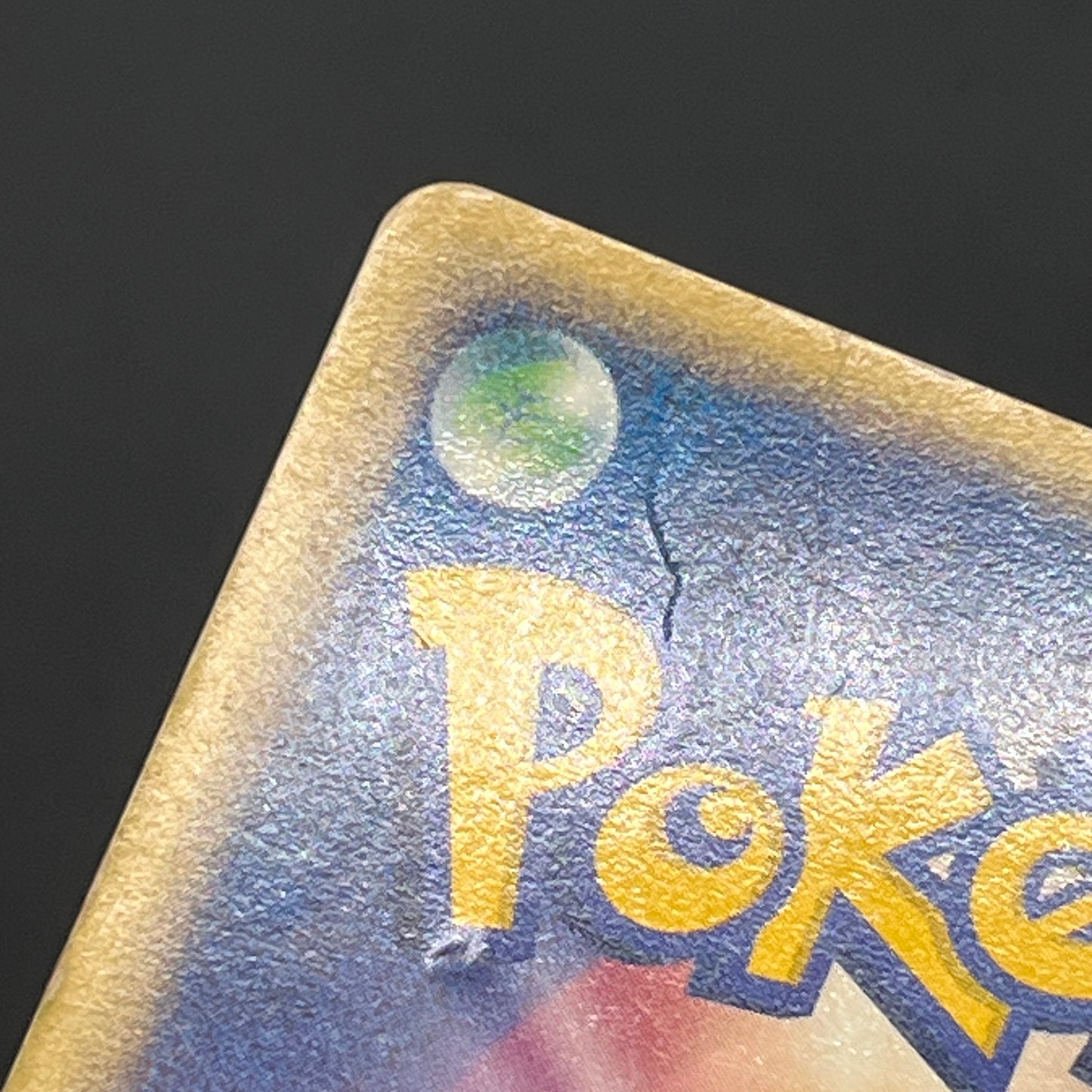 Mudkip 003/019 Torchic Treecko 3set Japanese Pokemon Card