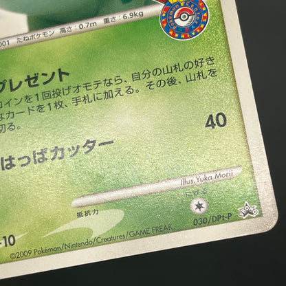 Bulbasaur 030/DPt-P Pokemon Center 10th Anniversary Card