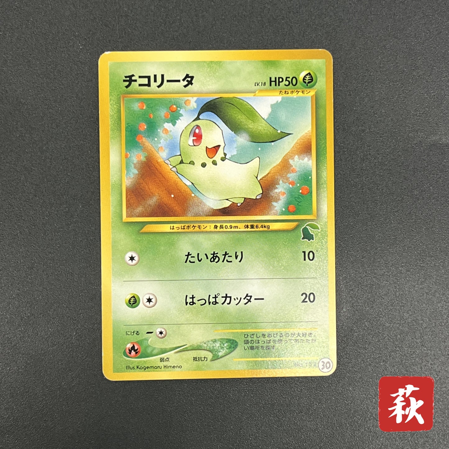 Chikorita No. 152 Intro Pack Promo Half Deck Pokémon Card