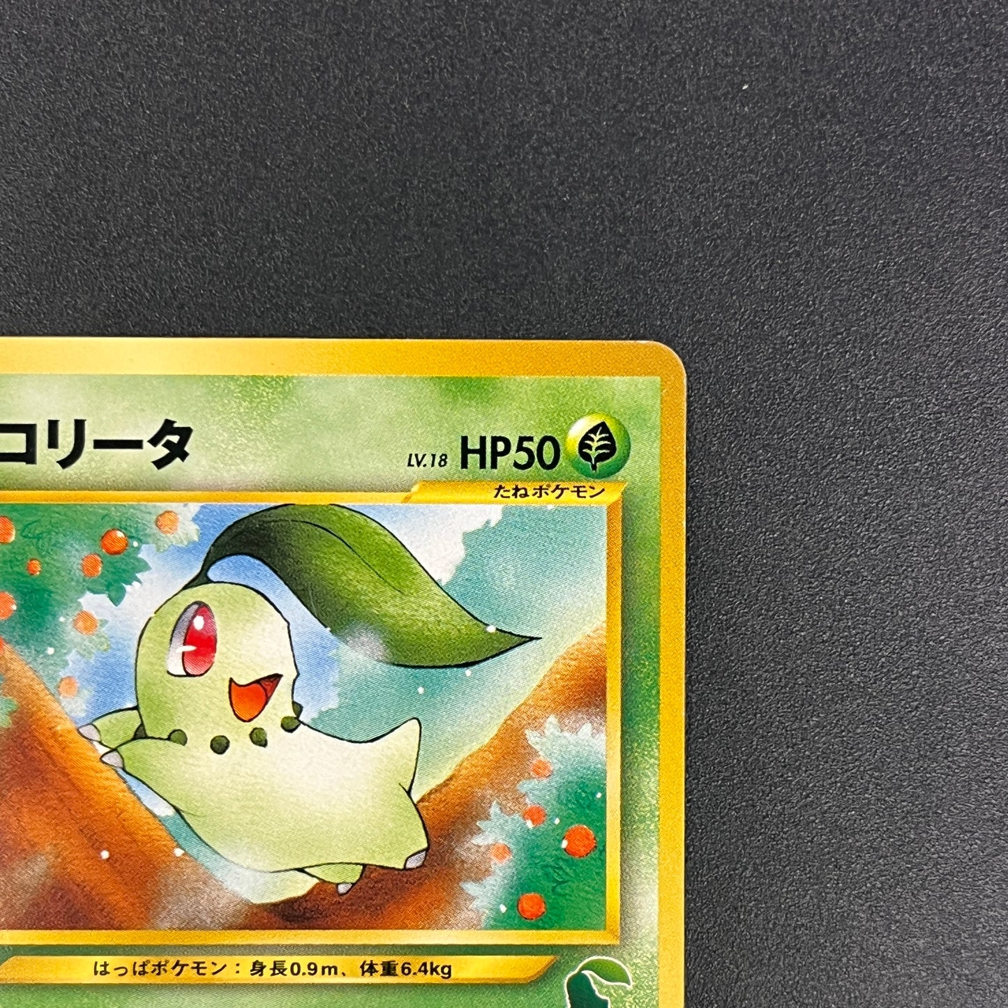 Chikorita No. 152 Intro Pack Promo Half Deck Pokémon Card