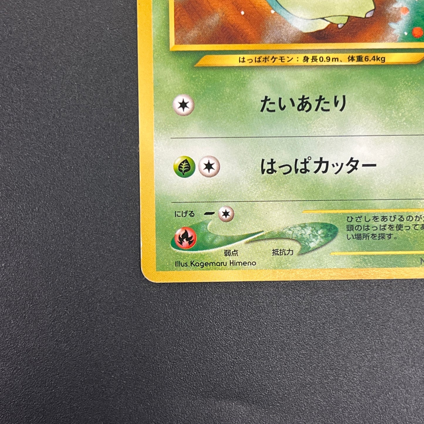 Chikorita No. 152 Intro Pack Promo Half Deck Pokémon Card