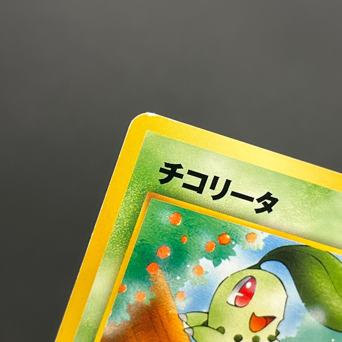 Chikorita No. 152 Intro Pack Promo Half Deck Pokémon Card