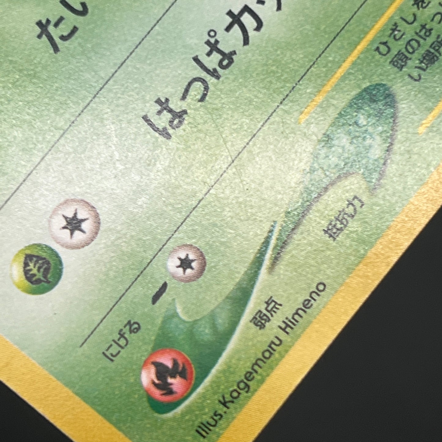 Chikorita No. 152 Intro Pack Promo Half Deck Pokémon Card