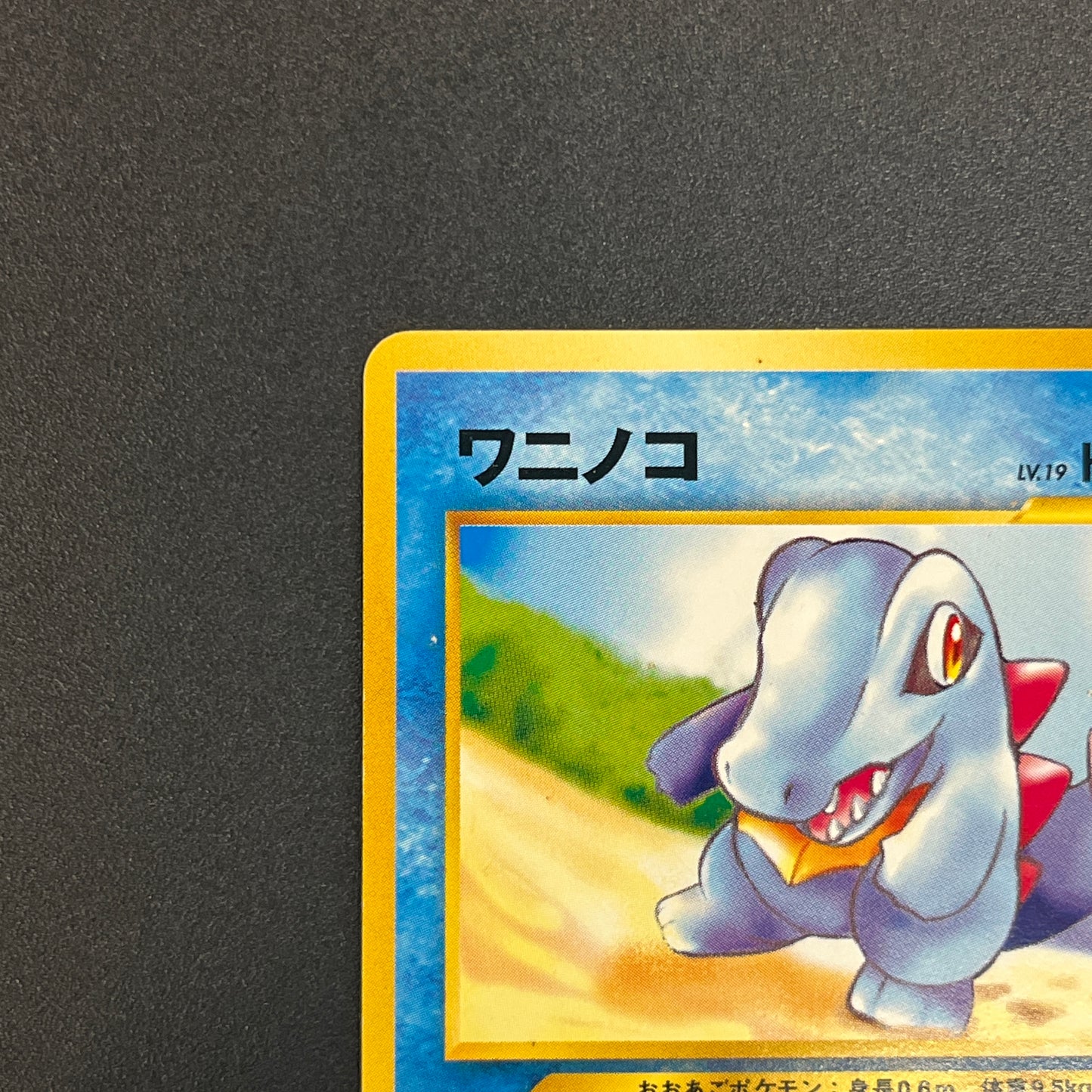 Totodile No. 158 Intro Pack Promo Half Deck Pokémon Card